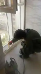 عکس شماره 9510 %D8%A7%D8%AC%D8%B1%D8%A7