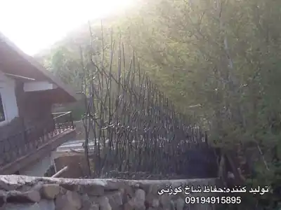 عکس شماره 9558 %D8%AD%D9%81%D8%A7%D8%B8-%D8%B4%D8%A7%D8%AE-%DA%AF%D9%88%D8%B2%D9%86%DB%8C