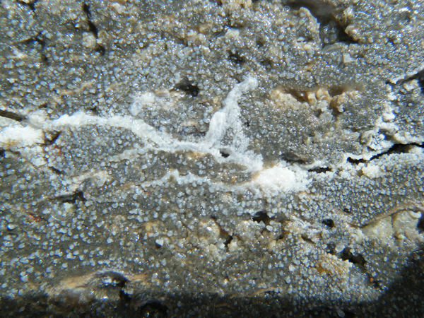 عکس شماره 18285 %D9%85%D8%AD%D9%82%D9%82%D8%A7%D9%86-%D8%A7%DB%8C%D8%B1%D8%A7%D9%86%DB%8C-%D8%A8%D8%AA%D9%86-%D8%AE%D9%88%D8%AF%D8%AA%D8%B1%D9%85%DB%8C%D9%85-%D8%B4%D9%88%D9%86%D8%AF%D9%87-%D8%B3%D8%A7%D8%AE%D8%AA%D9%86%D8%AF