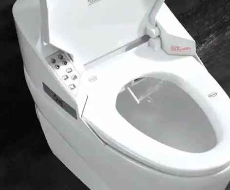 عکس شماره 18580 %D8%AA%D9%88%D8%A7%D9%84%D8%AA-%D9%81%D8%B1%D9%86%DA%AF%DB%8C-%D8%A8%DB%8C%D8%AF%D9%87-%DA%86%DB%8C%D8%B3%D8%AA