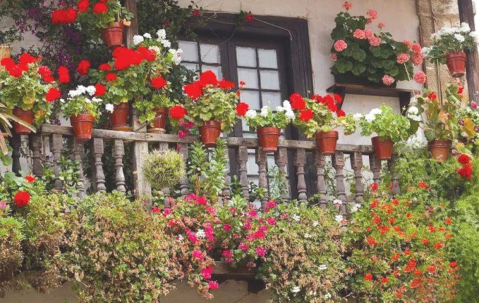 طراحی بالکن بهاری با گیاهان خانگی