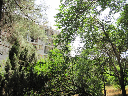 عکس شماره 1939 %D8%B3%D8%A7%D8%AE%D8%AA%D9%85%D8%A7%D9%86-%D8%B3%D8%A7%D8%B2%DB%8C-%D8%AF%D8%B1-%D8%A8%D8%A7%D8%BA-50-%D8%B3%D8%A7%D9%84%D9%87