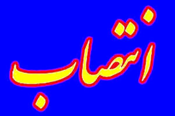 عکس شماره 2127 %D8%B1%DB%8C%DB%8C%D8%B3-%D8%AC%D8%AF%DB%8C%D8%AF-%D9%BE%DA%98%D9%88%D9%87%D8%B4%DA%AF%D8%A7%D9%87-%D8%B2%D9%84%D8%B2%D9%84%D9%87-%D8%B4%D9%86%D8%A7%D8%B3%DB%8C-%D9%85%D9%86%D8%B5%D9%88%D8%A8-%D8%B4%D8%AF