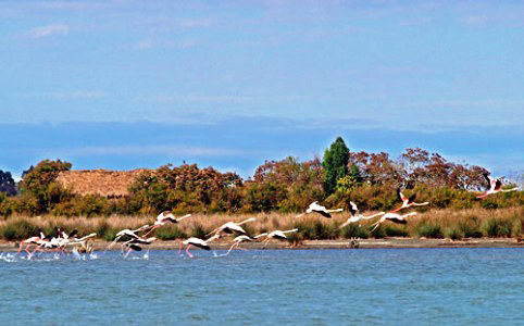 عکس شماره 2497 %D9%85%DB%8C%D8%A7%D9%86%DA%A9%D8%A7%D9%84%D9%87-%D9%81%D8%AF%D8%A7%DB%8C-%D8%A7%D9%82%D8%AA%D8%B5%D8%A7%D8%AF-%D9%85%DB%8C-%D8%B4%D9%88%D8%AF