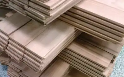 عکس شماره 5562 %D8%A8%D8%AF%D9%88%D9%86-%D8%A7%D8%B7%D9%84%D8%A7%D8%B9-%D8%A7%D8%AA%D8%AD%D8%A7%D8%AF%DB%8C%D9%87-%D8%B4%D9%87%D8%B1%DA%A9-%D8%B5%D9%86%D9%81%DB%8C-%D8%AA%D8%A7%D8%B3%DB%8C%D8%B3-%DA%A9%D8%B1%D8%AF%D9%86%D8%AF