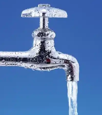 عکس شماره 5666 %D8%AC%D8%B1%DB%8C%D9%85%D9%87-%D9%85%D8%B4%D8%AA%D8%B1%DA%A9%D8%A7%D9%86-%D9%BE%D8%B1%D9%85%D8%B5%D8%B1%D9%81-%D8%AF%D9%88%D8%A8%D8%A7%D8%B1%D9%87-%D8%B1%D9%88%DB%8C-%D9%85%DB%8C%D8%B2-%D8%A2%D9%85%D8%AF