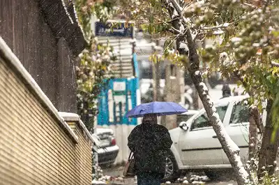 عکس شماره 5732 %DA%A9%D8%A7%D9%87%D8%B4-%D9%82%D8%A7%D8%A8%D9%84-%D8%AA%D9%88%D8%AC%D9%87-%D8%A8%D8%A7%D8%B1%D8%B4-%D9%87%D8%A7-%D8%AF%D8%B1-%DA%A9%D8%B4%D9%88%D8%B1