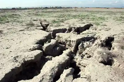 عکس شماره 5823 %D8%A8%D8%B2%D8%B1%DA%AF%D8%B1%D8%A7%D9%87-%D8%A2%D8%B2%D8%A7%D8%AF%DA%AF%D8%A7%D9%86-%D8%AF%D8%B1%D8%B5%D8%AF%D8%B1-%D9%81%D8%B1%D9%88%D9%86%D8%B4%D8%B3%D8%AA-%D9%87%D8%A7