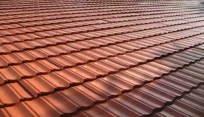 عکس شماره 6840 %D9%88%D8%B1%D9%82-%D9%87%D8%A7%DB%8C-%D9%BE%D9%88%D8%B4%D8%B4%DB%8C-%D8%B3%D9%81%D8%A7%D9%84-%D9%88-%D8%B7%D8%B1%D8%AD-%D8%B3%D9%81%D8%A7%D9%84