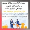 لوگوی حراجی دامنه طلا گستر 
