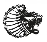 پارس رول فرم