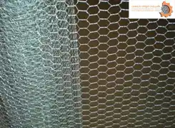 عکس شماره 13313 توری-مرغی