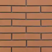 عکس شماره 13641 %D8%A2%D8%AC%D8%B1-%D9%86%D8%B3%D9%88%D8%B2-%D9%86%D9%85%D8%A7-%D9%BE%D9%84%D8%A7%DA%A9-AB41001