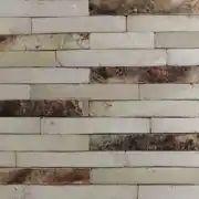 عکس شماره 13670 %D8%A2%D8%AC%D8%B1-%D9%86%D8%B3%D9%88%D8%B2-%D9%86%D9%85%D8%A7-%D8%B1%D8%B3%D8%AA%DB%8C%DA%A9-AR309