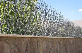 عکس شماره 14130 %D8%AD%D9%81%D8%A7%D8%B8-%D8%B4%D8%A7%D8%AE-%DA%AF%D9%88%D8%B2%D9%86%DB%8C