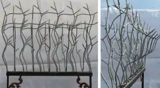 عکس شماره 14137 حفاظ-شاخ-گوزنی