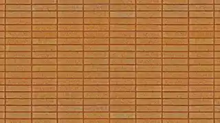 عکس شماره 14232 %D8%A2%D8%AC%D8%B1%D9%86%D8%B3%D9%88%D8%B2-%D9%BE%D9%84%D8%A7%DA%A9-22-%DA%A9%D8%AFDG-P22-1031014