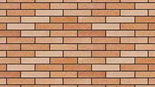 عکس شماره 14233 %D8%A2%D8%AC%D8%B1%D9%86%D8%B3%D9%88%D8%B2-%D9%BE%D9%84%D8%A7%DA%A9-22-%DA%A9%D8%AFDG-P22-1033001