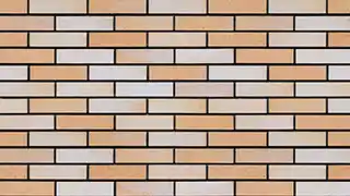 عکس شماره 14235 %D8%A2%D8%AC%D8%B1%D9%86%D8%B3%D9%88%D8%B2-%D9%BE%D9%84%D8%A7%DA%A9-22-%DA%A9%D8%AF-DG-P22-1033004