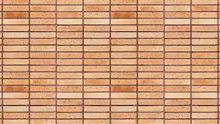 عکس شماره 14237 %D8%A2%D8%AC%D8%B1%D9%86%D8%B3%D9%88%D8%B2-%D9%BE%D9%84%D8%A7%DA%A9-22-%DA%A9%D8%AF-DG-P22-1033011