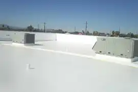 عکس شماره 14429 %D8%B9%D8%A7%DB%8C%D9%82-%D8%B1%D8%B7%D9%88%D8%A8%D8%AA%DB%8C-%D9%BE%D8%A7%DB%8C%DA%A9%D9%85-(-%D8%A7%D9%86%D9%88%D8%A7%D8%B9-%D9%BE%D8%B4%D8%AA-%D8%A8%D8%A7%D9%85%D9%87%D8%A7%DB%8C-%D8%A8%D8%AA%D9%86%DB%8C-%D9%81%D9%84%D8%B2%DB%8C-%DA%AF%D8%A7%D9%84%D9%88%D8%A7%D9%86%DB%8C%D8%B2%D9%87-%DA%AF%D9%86%D8%A8%D8%AF%DB%8C-%D8%B3%D9%81%D8%A7%D9%84%DB%8C-%D9%88