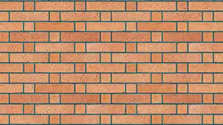 عکس شماره 15016 %D8%AA%DA%A9%D8%B3%DA%86%D8%B1-%D8%A2%D8%AC%D8%B1-%D9%86%D8%B3%D9%88%D8%B2-%D9%BE%D9%84%D8%A7%DA%A9-26-%DA%A9%D8%AFDG-P26-1011008