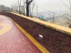 عکس شماره 15204 %D8%A8%D8%A7%D8%AF%D8%A8%D8%B1