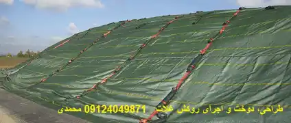 عکس شماره 15382 %D8%B1%D9%88%DA%A9%D8%B4-%D8%A7%D8%B3%D8%AA%D8%AE%D8%B1