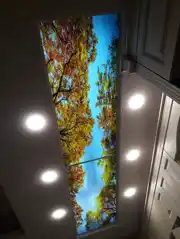 عکس شماره 16015 %D8%B3%DB%8C%D9%85-%DA%A9%D8%B4%DB%8C-%D8%AF%D8%A7%D8%AE%D9%84-%DA%A9%D9%86%D8%A7%D9%81-%D9%88%D8%A2%D8%B3%D9%85%D8%A7%D9%86-%D9%85%D8%AC%D8%A7%D8%B2%DB%8C