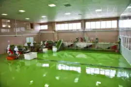 عکس شماره 16527 %DA%A9%D9%81%D9%BE%D9%88%D8%B4-%D8%A7%D9%BE%D9%88%DA%A9%D8%B3%DB%8C