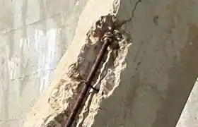 عکس شماره 16729 %D8%AA%D8%B1%D9%85%DB%8C%D9%85-%DA%A9%D9%86%D9%86%D8%AF%D9%87-%D8%A8%D8%AA%D9%86