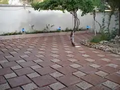 عکس شماره 19672 %D9%88%D8%A7%D8%B4-%D8%A8%D8%AA%D9%86-%D8%B3%D9%86%DA%AF%D8%B3%D8%A7%D9%86-%DB%8C%D8%B2%D8%AF