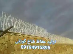 عکس شماره 21072 %D8%AD%D9%81%D8%A7%D8%B8-%D8%B4%D8%A7%D8%AE-%DA%AF%D9%88%D8%B2%D9%86%DB%8C