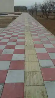 عکس شماره 22620 %DA%A9%D9%81-%D9%BE%D9%88%D8%B4-%D8%A8%D8%AA%D9%86%DB%8C-09122258862