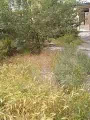 عکس شماره 23306 %D8%B1%D9%87%D9%86-%D9%88-%D8%A7%D8%AC%D8%A7%D8%B1%D9%87-%D8%AE%D8%A7%D9%86%D9%87-%D9%88%DB%8C%D9%84%D8%A7%D8%A6%DB%8C-%D8%AF%D8%B1%D8%A8%D8%B3%D8%AA-%D9%85%D8%A8%D9%84%D9%87-%D8%A8%D8%A7%D9%84%D8%A7%D8%B4%D9%87%D8%B1-%D8%AF%D9%85%D8%A7%D9%88%D9%86%D8%AF