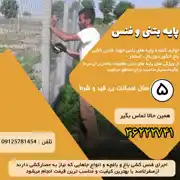 عکس شماره 23652 %D8%A7%D8%AC%D8%B1%D8%A7%DB%8C-%D9%81%D9%86%D8%B3-%DA%A9%D8%B4%DB%8C-%D8%B5%D9%81%D8%B1-%D8%AA%D8%A7-%D8%B5%D8%AF-%D8%AA%D9%88%D9%84%DB%8C%D8%AF-%DA%A9%D9%86%D9%86%D8%AF%D9%87-%D9%BE%D8%A7%DB%8C%D9%87-%D8%A8%D8%AA%D9%86%DB%8C-%D9%81%D9%86%D8%B3