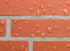 عکس شماره 25894 %D8%B9%D8%A7%DB%8C%D9%82-%D8%A8%DB%8C-%D8%B1%D9%86%DA%AF-%D9%85%D8%AE%D8%B5%D9%88%D8%B5-%D8%A2%D8%AC%D8%B1-%D9%BE%D8%A7%D8%AF%D9%86%D8%A7%D8%B1