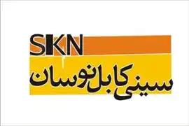 عکس شماره 26857 %D8%AE%D8%B1%DB%8C%D8%AF-%D9%81%D8%B1%D9%88%D8%B4-%D9%88-%D9%82%DB%8C%D9%85%D8%AA-%D8%A7%D9%86%D9%88%D8%A7%D8%B9-%D8%B3%DB%8C%D9%86%DB%8C-%DA%A9%D8%A7%D8%A8%D9%84