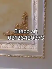 عکس شماره 27821 %D9%BE%D8%AA%DB%8C%D9%86%D9%87-%D8%A8%D8%B1%D8%AC%D8%B3%D8%AA%D9%87