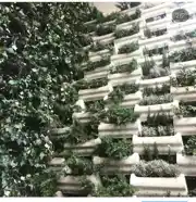 عکس شماره 32508 %D9%82%DB%8C%D9%85%D8%AA-%D9%88-%D8%AE%D8%B1%DB%8C%D8%AF-%D9%81%D9%84%D8%A7%D9%88%D8%B1%D8%A8%D8%A7%DA%A9%D8%B3-%D8%A8%D8%AA%D9%86%DB%8C