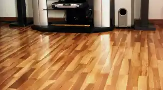 عکس شماره 335 %D9%BE%D8%A7%D8%B1%D9%83%D8%AA-%D8%A8%D9%84%D9%88%D8%B7