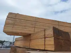 عکس شماره 35671 %D9%BE%D8%AE%D8%B4-%DA%A9%D9%86%D9%86%D8%AF%D9%87-%DA%86%D9%88%D8%A8-%D9%86%D8%B1%D8%A7%D8%AF-%D8%B1%D9%88%D8%B3%DB%8C-%D8%AF%D8%B1-%D8%AA%D9%85%D8%A7%D9%85%DB%8C-%D8%A7%D8%A8%D8%B9%D8%A7%D8%AF