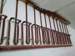 عکس شماره 35740 %D9%84%D9%88%D9%84%D9%87-%DA%A9%D8%B4%DB%8C-%DA%AF%D8%A7%D8%B2-%D8%AC%D9%88%D8%B4%DA%A9%D8%A7%D8%B1%DB%8C