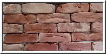 عکس شماره 6009 آجر-روستیک2