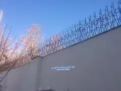 عکس شماره 8701 %D8%AD%D9%81%D8%A7%D8%B8-%D8%B1%D9%88%D8%AF%DB%8C%D9%88%D8%A7%D8%B1%DB%8C