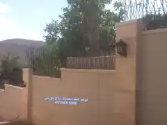 عکس شماره 8734 %D9%86%D8%B1%D8%AF%D9%87-%D8%B4%D8%A7%D8%AE-%DA%AF%D9%88%D8%B2%D9%86%DB%8C