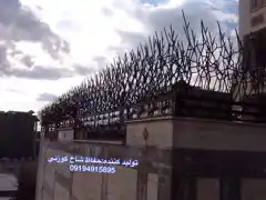 عکس شماره 9557 %D8%B4%D8%A7%D8%AE-%DA%AF%D9%88%D8%B2%D9%86%DB%8C