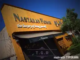 عکس شماره 10004 %DA%AF%D9%84-%D9%86%D8%B3%D8%AA%D8%B1%D9%86