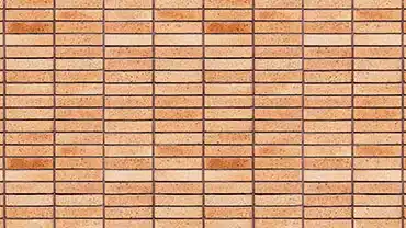 عکس شماره 14237 %D8%A2%D8%AC%D8%B1%D9%86%D8%B3%D9%88%D8%B2-%D9%BE%D9%84%D8%A7%DA%A9-22-%DA%A9%D8%AF-DG-P22-1033011