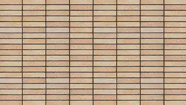 عکس شماره 14511 %D8%A2%D8%AC%D8%B1%D9%86%D8%B3%D9%88%D8%B2-%D9%BE%D9%84%D8%A7%DA%A9-22-%DA%A9%D8%AF-DG-P22-1033014